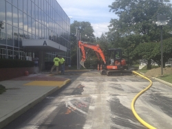 IMG_1419.jpg