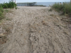 IMG_5828.JPG