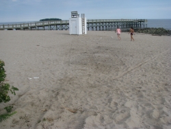 IMG_5829.JPG