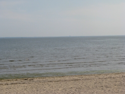 IMG_5832.JPG