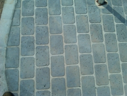 img00123-20110610-1629_0018.jpg