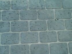 img00124-20110610-1629_0017.jpg