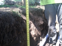 img00157-20110824-1236_0024.jpg